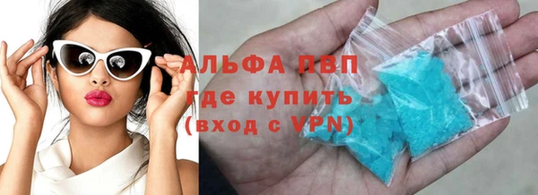 индика Пересвет