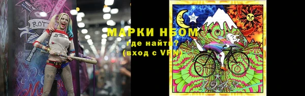 индика Пересвет