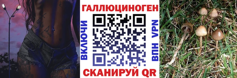 Псилоцибиновые грибы мицелий Мытищи